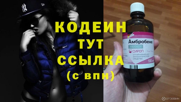 ECSTASY Гусев