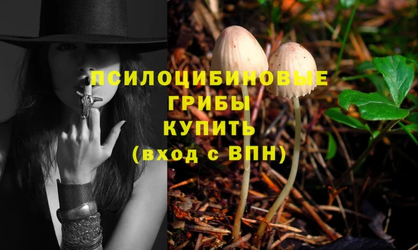 амф Армянск