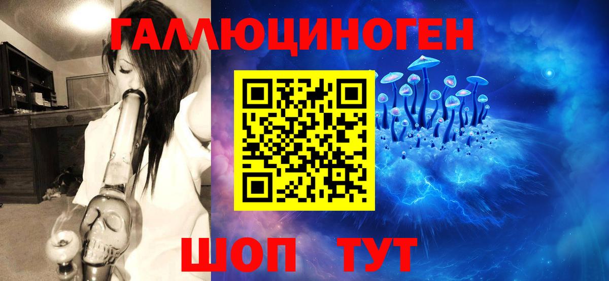 Псилоцибиновые грибы GOLDEN TEACHER Радужный
